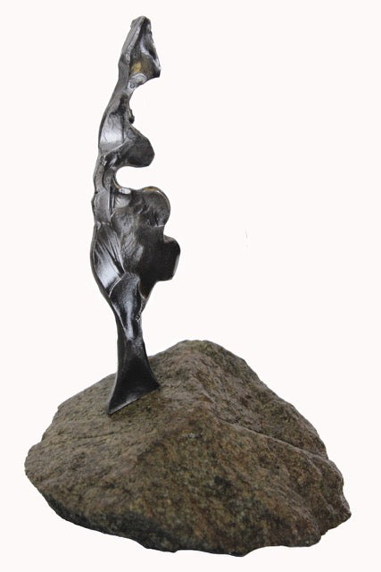 Nature “Jacks Bay” by Paul Reimer – iron.