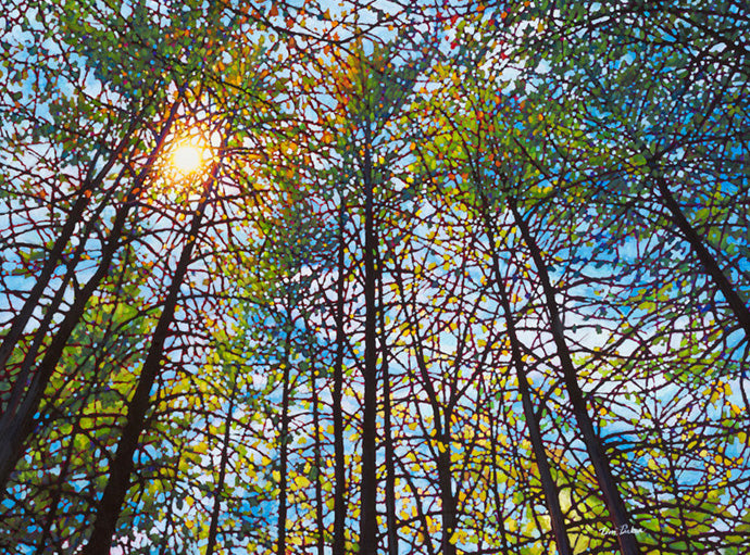 Landscape “Spring Symphony SPO” by Tim Packer – giclee on canvas.