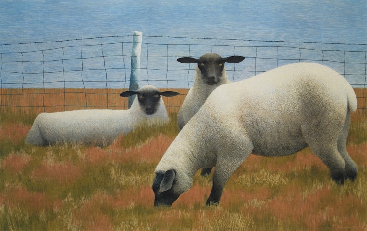 Three Sheep